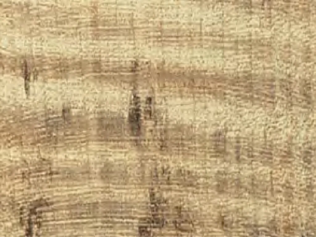 Laminate -_CORONA MAPLE